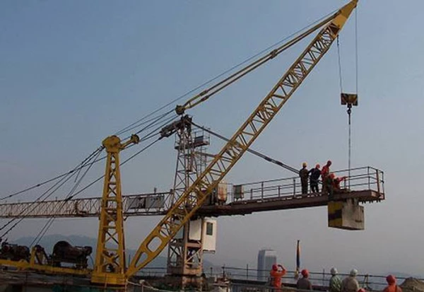 Comprehensive solutions for Erection & Dismantling cranes!